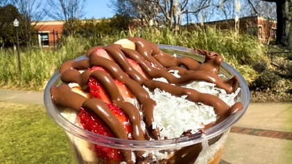 a smoothie bowl from Blenz in the Village