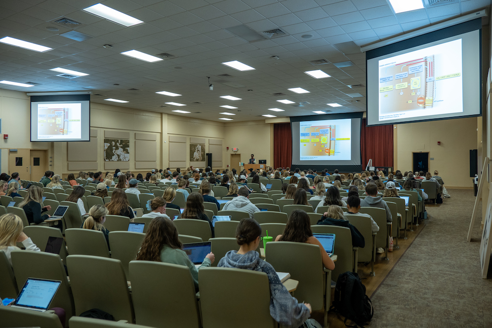 A class in the Foy Auditorium